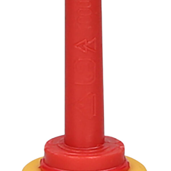 FOT_PRO_ALG_117.0504_SALL_AING_V1