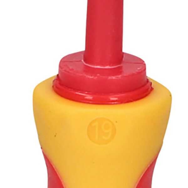 FOT_PRO_VAR_117.0502.2_SALL_AING_V1