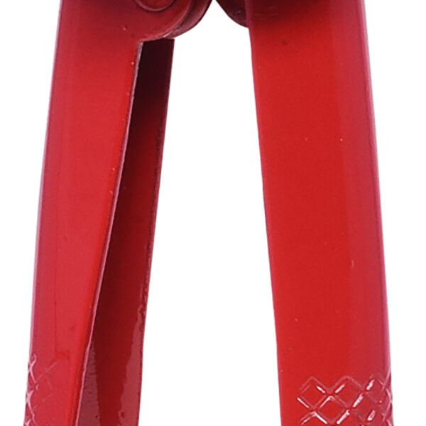 FOT_PRO_ALG_116.7000_SALL_AING_V1