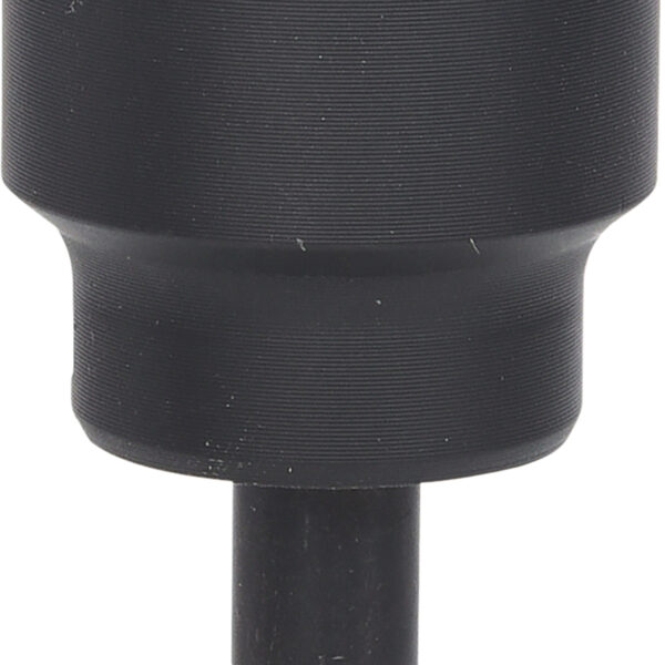 FOT_PRO_VAR_116.2037.6_SALL_AING_V1