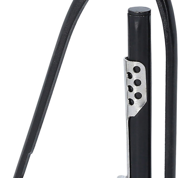 FOT_PRO_VAR_116.1302.2_SALL_AING_V1