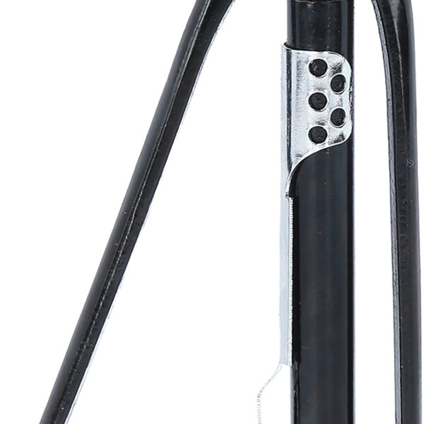 FOT_PRO_VAR_116.1301.2_SALL_AING_V1