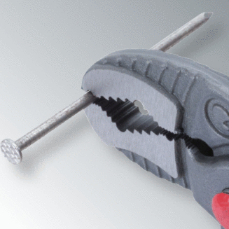 FOT_ANW_ALG_ZA_115.85XX(20-30).AW1_SALL_AING_V1