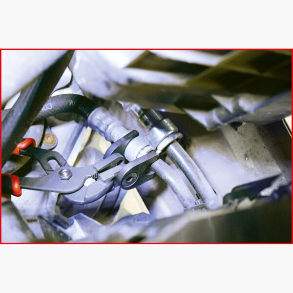 FOT_ANW_ALG_AUTO_115.8504.AW1_SALL_AING_V1