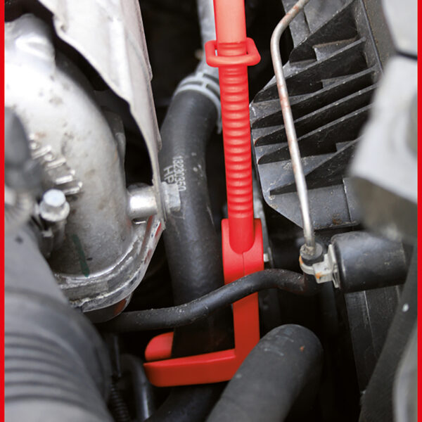 FOT_ANW_ALG_ZA_115.5055.AW1_SALL_AING_V1