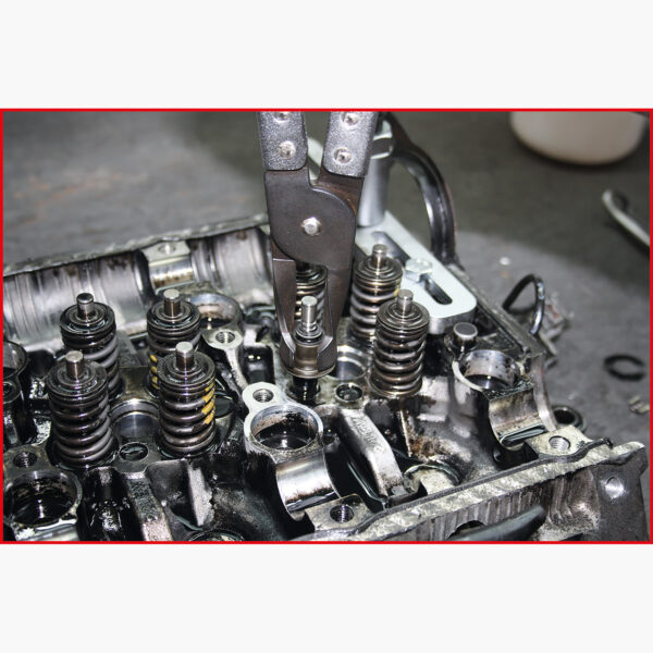 FOT_ANW_ALG_AUTO_115.300X(7-8).AW2_SALL_AING_V1