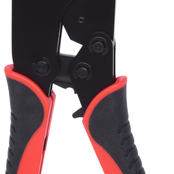 FOT_PRO_VAR_115.1522.2_SALL_AING_V1