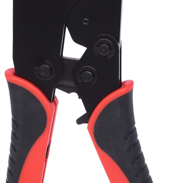 FOT_PRO_VAR_115.1440.2_SALL_AING_V1