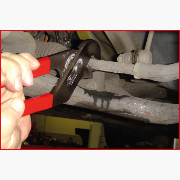 FOT_ANW_ALG_AUTO_115.1363.AW2_SALL_AING_V1