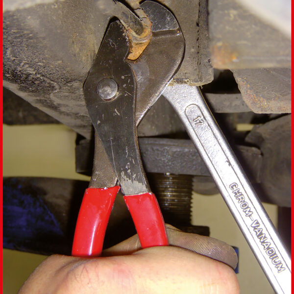 FOT_ANW_ALG_ZA_115.1361.AW1_SALL_AING_V1