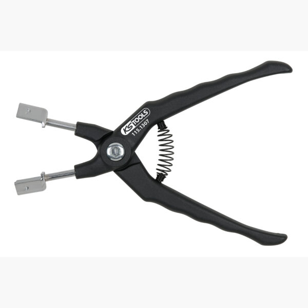 FOT_PRO_ALG_AUTO_115.1307_SALL_AING_V1