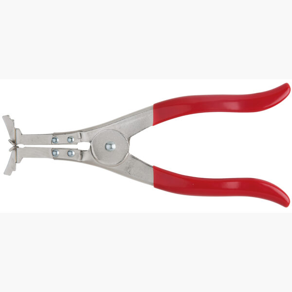 FOT_PRO_ALG_AUTO_115.1301_SALL_AING_V1