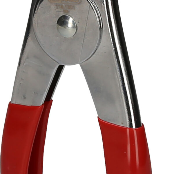 FOT_PRO_ALG_115.1301_SALL_AING_V1