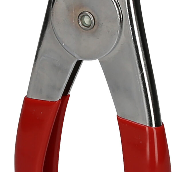 FOT_PRO_VAR_115.1301.2_SALL_AING_V1