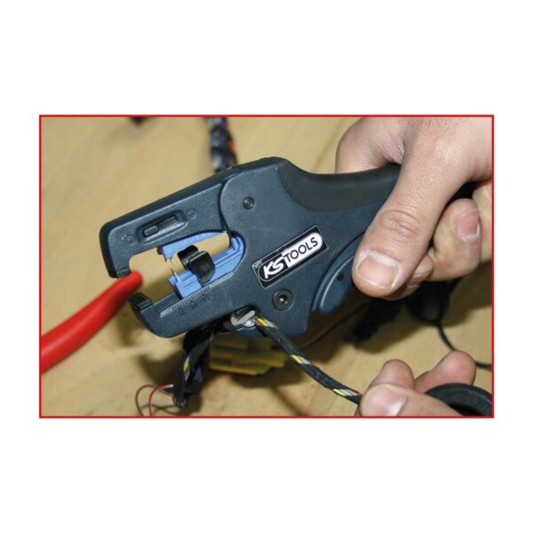 FOT_ANW_ALG_AUTO_115.124X(4-9).AW2_SALL_AING_V1