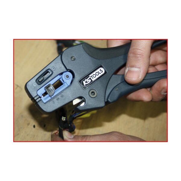 FOT_ANW_ALG_AUTO_115.124X(4-9).AW3_SALL_AING_V1