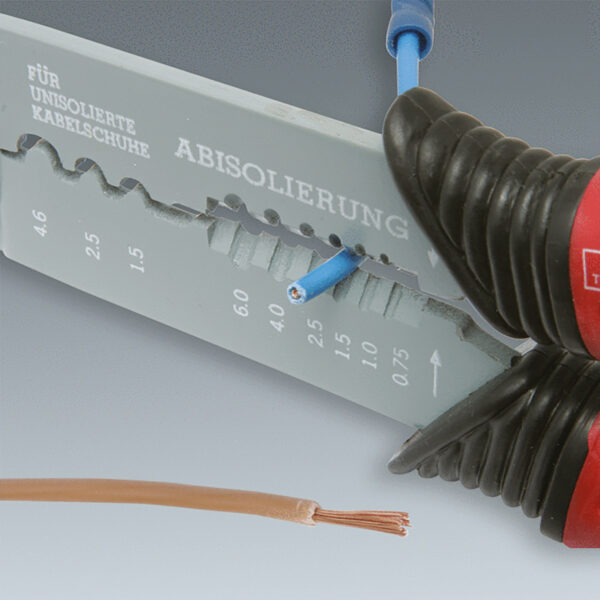 FOT_ANW_ALG_ZA_115.1230.AW1_SALL_AING_V1