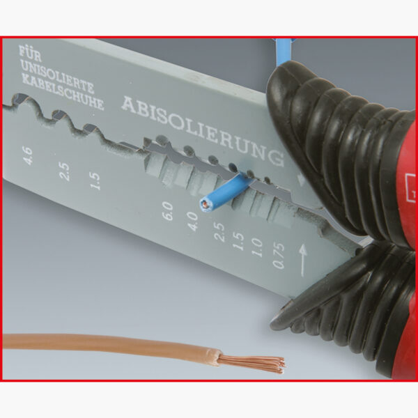 FOT_ANW_ALG_AUTO_115.1230.AW7_SALL_AING_V1