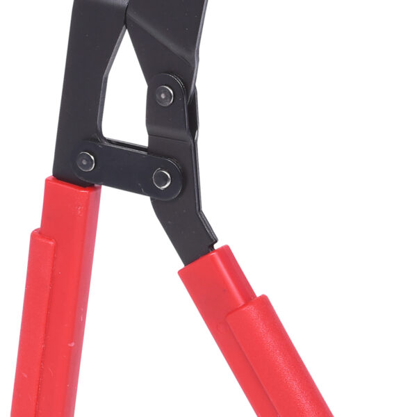 FOT_PRO_VAR_115.1210.2_SALL_AING_V1