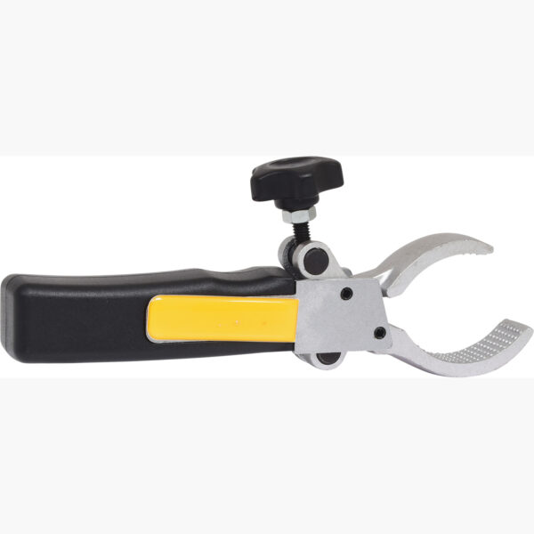 FOT_PRO_VAR_115.1199.2_SALL_AING_V1