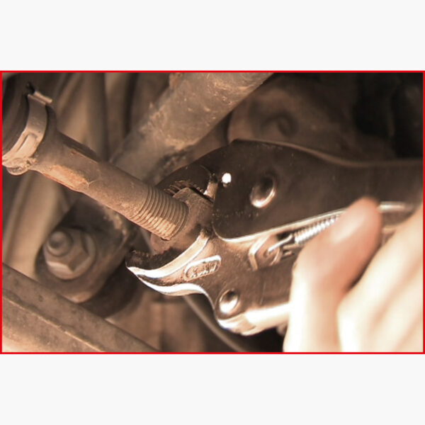 FOT_ANW_ALG_ZA_115.119X(6-7).AW3_SALL_AING_V1