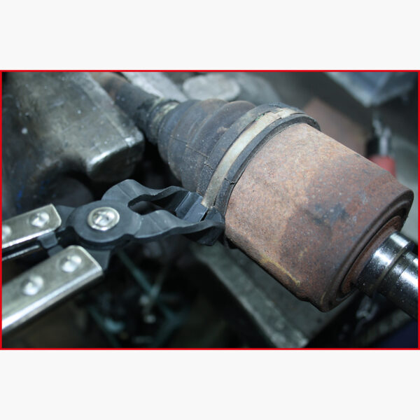 FOT_ANW_ALG_AUTO_115.1191.AW1_SALL_AING_V1