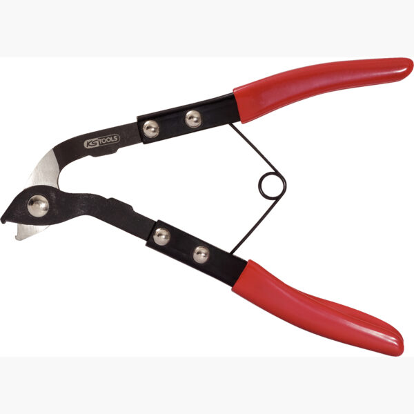 FOT_PRO_ALG_ZA_115.1186_SALL_AING_V1