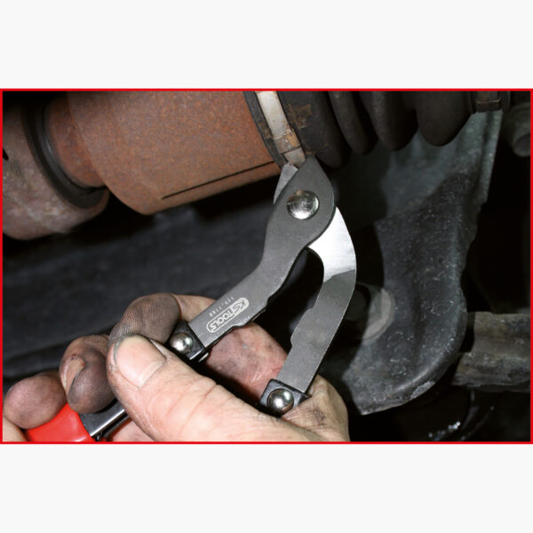 FOT_ANW_ALG_ZA_115.1186.AW2_SALL_AING_V1