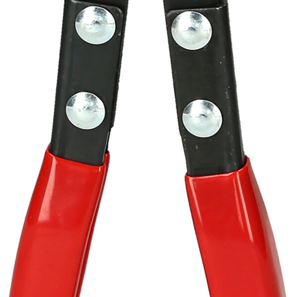 FOT_PRO_ALG_115.1185_SALL_AING_V1