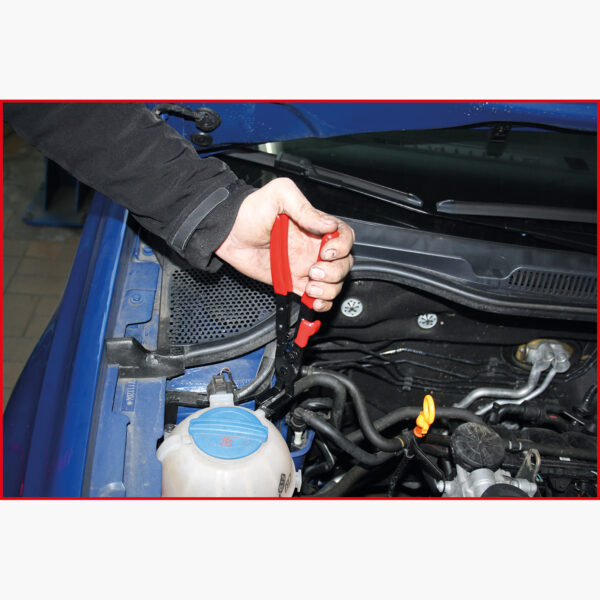 FOT_ANW_ALG_AUTO_115.1182.AW2_SALL_AING_V1