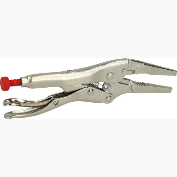 FOT_PRO_VAR_115.1177.2_SALL_AING_V1