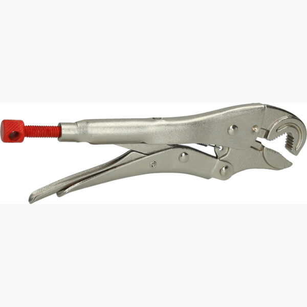 FOT_PRO_VAR_115.1175.2_SALL_AING_V1