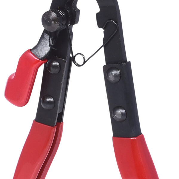 FOT_PRO_ALG_115.1173_SALL_AING_V1