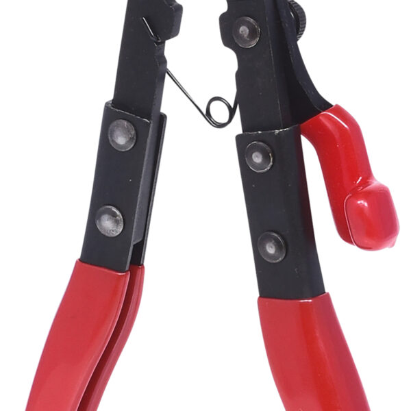 FOT_PRO_VAR_115.1173.2_SALL_AING_V1