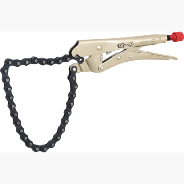 FOT_PRO_ALG_115.1171_SALL_AING_V1