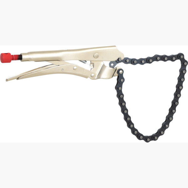 FOT_PRO_VAR_115.1171.2_SALL_AING_V1