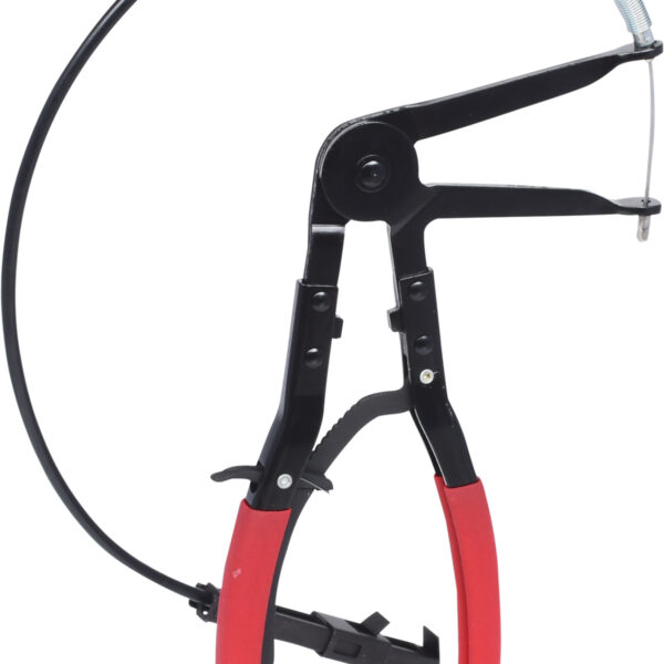 FOT_PRO_VAR_115.1169.2_SALL_AING_V1