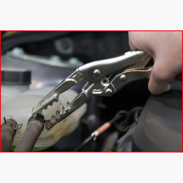 FOT_ANW_ALG_AUTO_115.112X(6-7).AW3_SALL_AING_V1