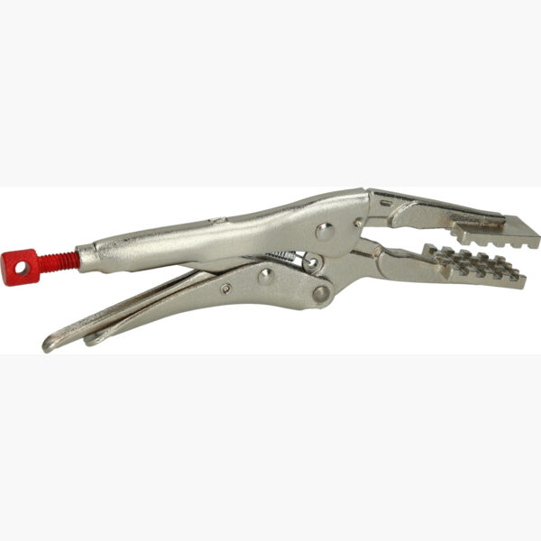 FOT_PRO_VAR_115.1125.2_SALL_AING_V1