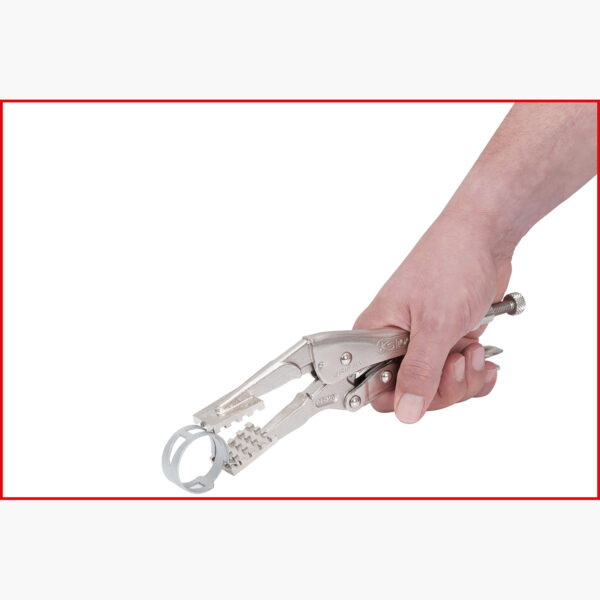 FOT_ANW_ALG_AUTO_115.1125.AW1_SALL_AING_V1