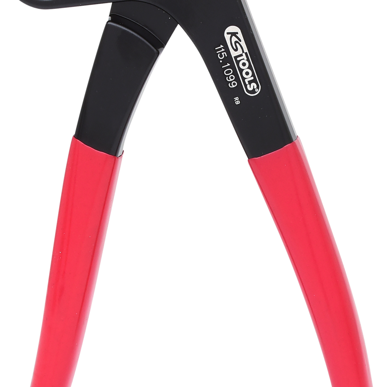 FOT_PRO_ALG_115.1099_SALL_AING_V1