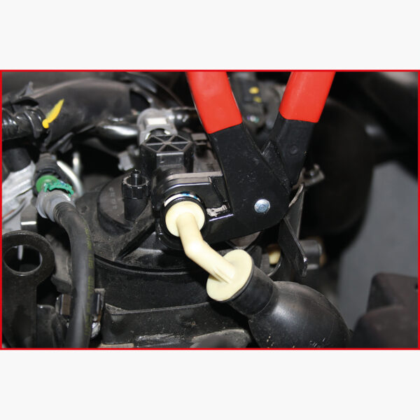 FOT_ANW_ALG_AUTO_115.1099.AW1_SALL_AING_V1