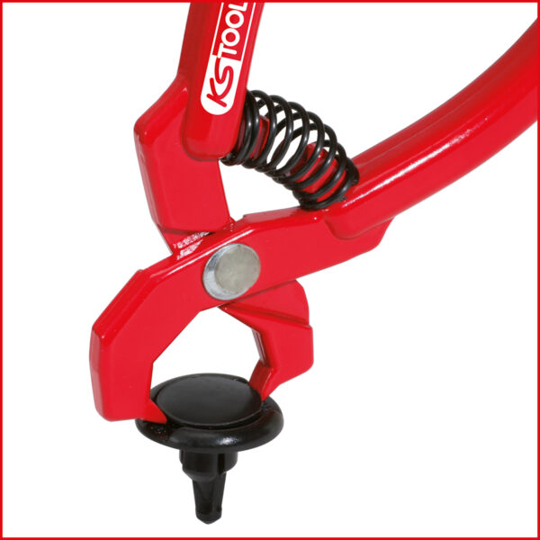 FOT_ANW_ALG_AUTO_115.1097.AW1_SALL_AING_V1