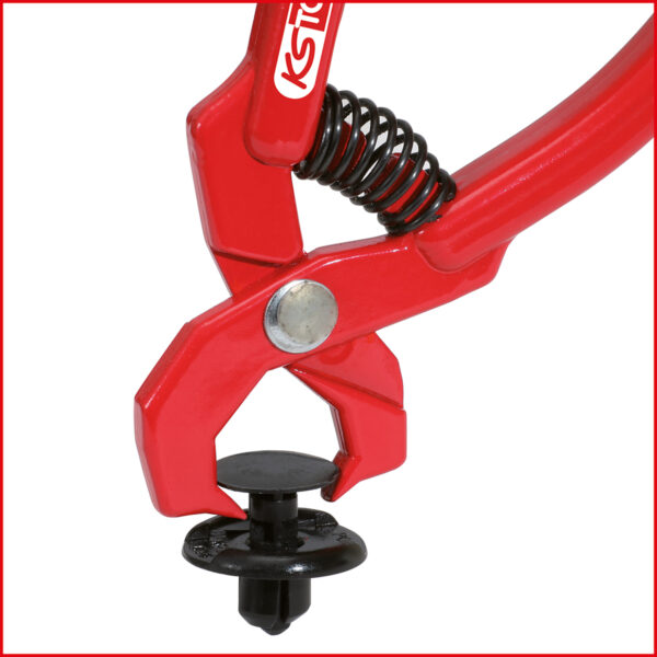 FOT_ANW_ALG_AUTO_115.1097.AW2_SALL_AING_V1