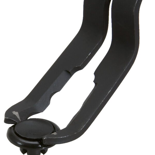 FOT_ANW_ALG_ZA_115.1087.AW1_SALL_AING_V1