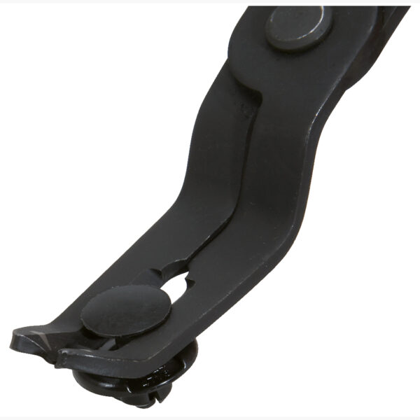 FOT_ANW_ALG_ZA_115.1087.AW2_SALL_AING_V1