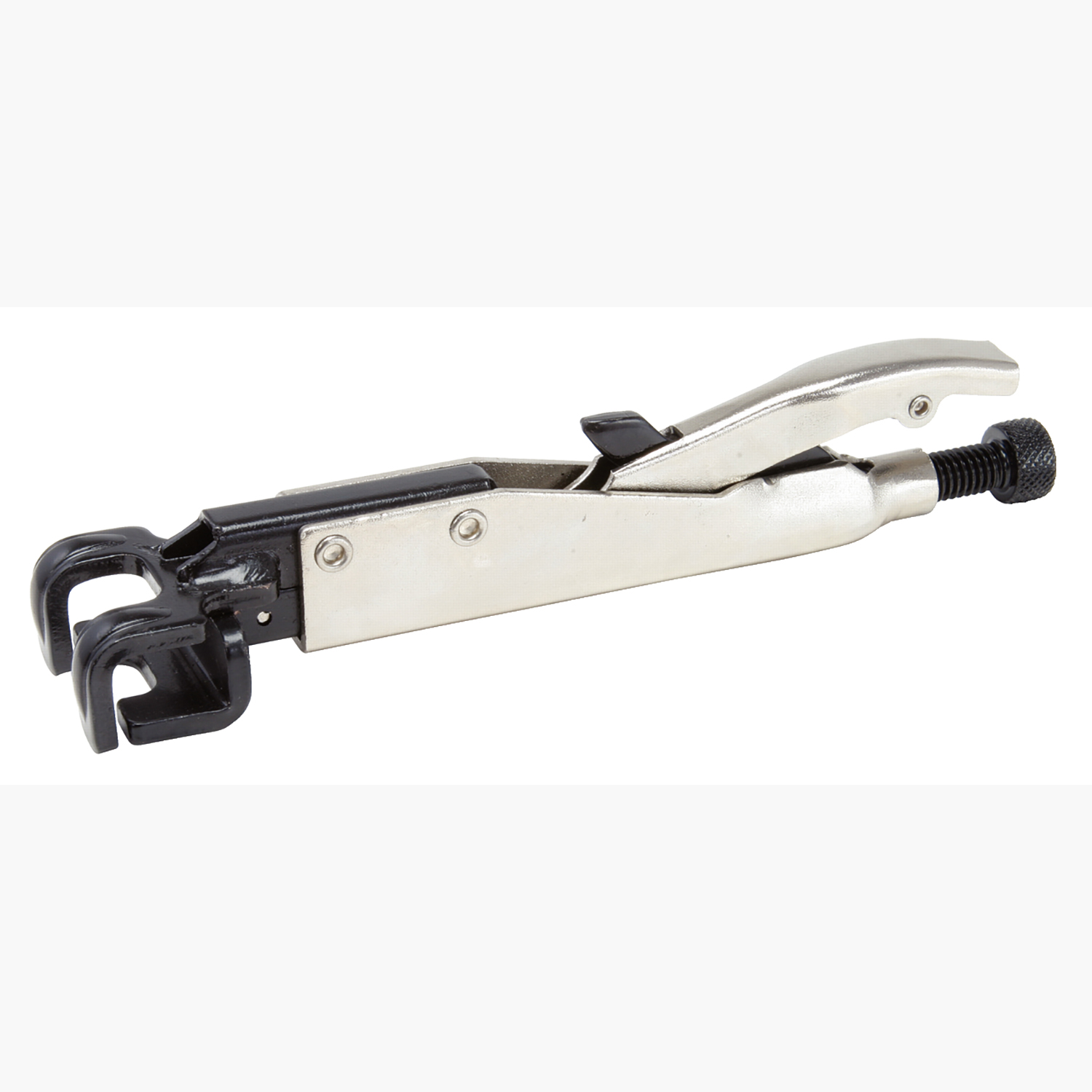 FOT_PRO_ALG_ZA_115.1082_SALL_AING_V1