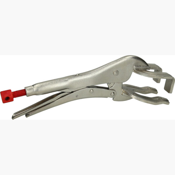 FOT_PRO_VAR_115.1079.2_SALL_AING_V1