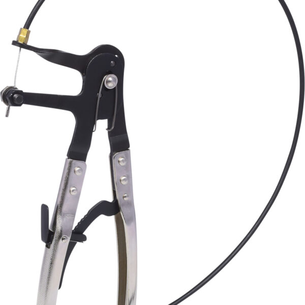 FOT_PRO_ALG_115.1064_SALL_AING_V1