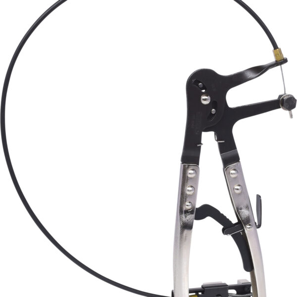 FOT_PRO_VAR_115.1064.2_SALL_AING_V1